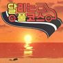달리는 풀코스
