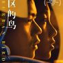 서버번 버즈