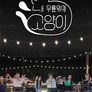 내 무릎위의 고양이 고양
