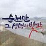 순천만, 그 생명의 빛깔