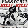 더 빨리 푸시캣, 죽여라 죽여