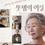 뜻밖의 여정