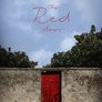 내 꿈은 컬러 꿈 #2 : The Red Door