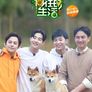 향왕적생활 시즌 2