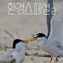 UHD 환경스페셜 시즌 2