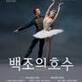 백조의 호수
