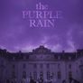 내 꿈은 컬러 꿈 #3 : The Purple Rain