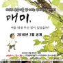 매미, 여름 내내 무슨일이 있었을까
