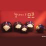 찰나에서 온 묘로