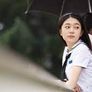 비밀의 화원