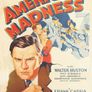 미국의 광기