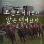 오늘도 어디선가 말은 태어난다
