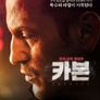 카본