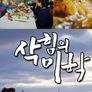 삭힘의 미학 시즌 2