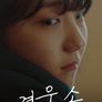 겨울손