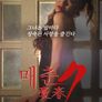 매춘 7