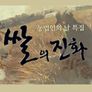 쌀의 진화