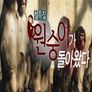 설특집 다큐 원숭이가 돌아왔다