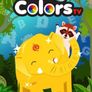 Learn Colors TV - Kids Song