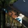 검은 숲 속으로