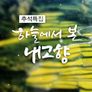 하늘에서 본 내고향