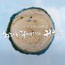 쇠제비갈매기의 귀향
