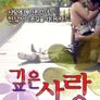 깊은 사랑
