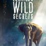 적도 야생의 비밀