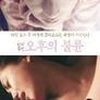 단지부인 오후의 불륜