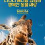 디즈니 애니멀 킹덤의 행복한 동물 세상