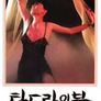 탄드라의 불