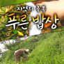 자연의 축복 푸른밥상