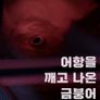 어항을 깨고 나온 금붕어