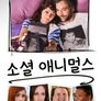 소셜 애니멀스