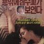 창 밖에 잠수교가 보인다