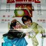 노호전계