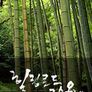 힐링로드 규슈 올레