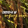 대한민국 쌀 아름다운 여정