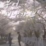 봄이 지나가면