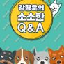 강형욱의 소소한 Q&A
