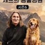 제프의 동물병원 시즌 6