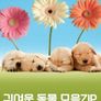 귀여운 동물 모음 ZIP 시즌 4