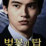 벚꽃의 탑 어나더 스토리