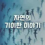 자연의 기이한 이야기