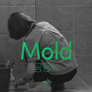 곰팡이