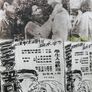 삼천만의 꽃다발