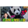 전지적 할부지 시점