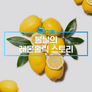 채널A 특별기획 봄날의 레몬홀릭 스토리