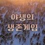 야생의 생존게임