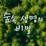숲속 생명의 비밀
